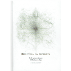Reflection on Brahman